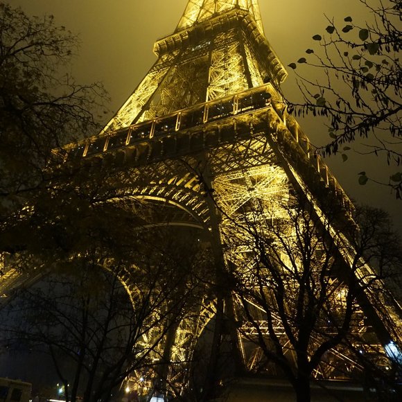 Meet your Posher, David - Picture 1 of 1